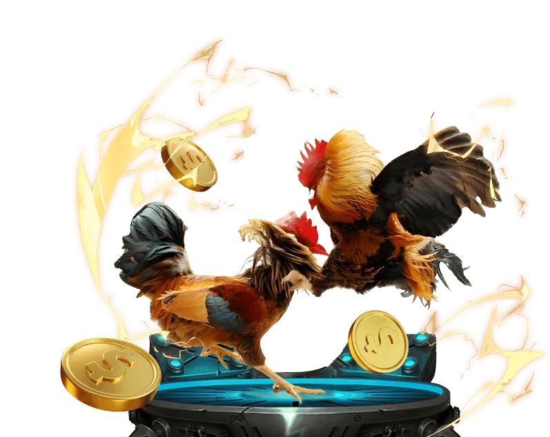 Phong cách và chiến thuật chiến đấu